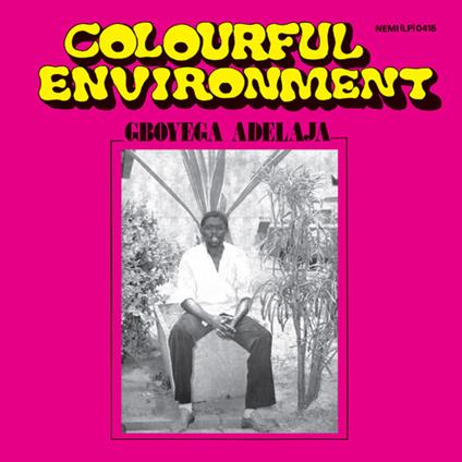 Colourful Environment - CD Audio di Gboyega Adelaja