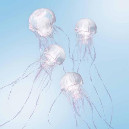 Luminous - CD Audio di Scandal