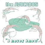 I Never Know (Green)