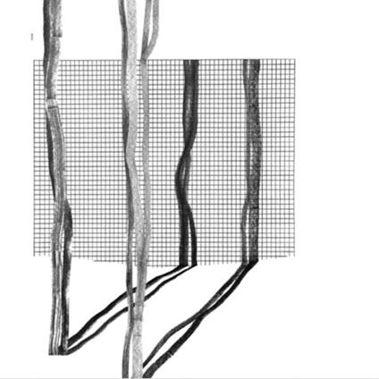 Systema Naturae II - Vinile LP