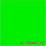 Party Album