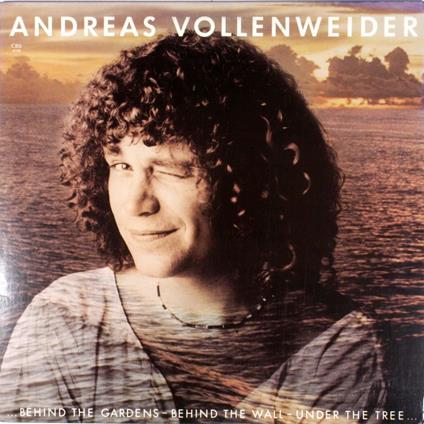 Behind The Gardens...Behind T. Wall - CD Audio di Andreas Vollenweider
