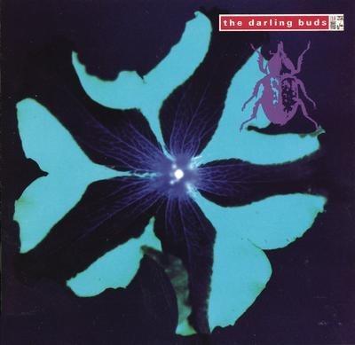 Crawdaddy - CD Audio di Darling Buds