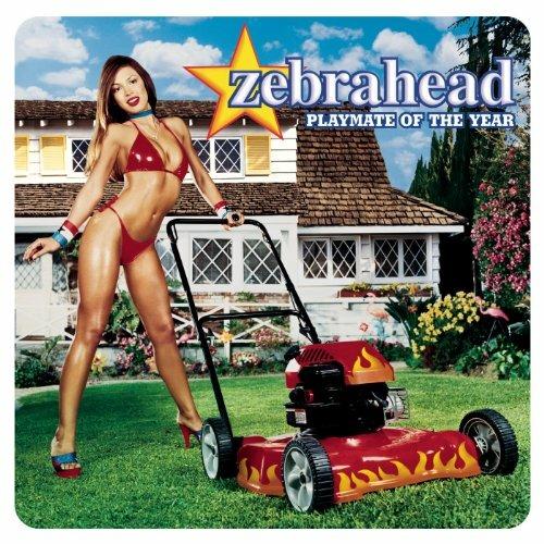 Playmate of the Year - CD Audio di Zebrahead