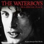 In a Special Place - CD Audio di Waterboys