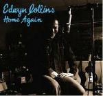 Home Again - CD Audio di Edwyn Collins