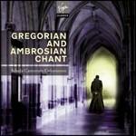 Canti gregoriani e ambrosiani - CD Audio di Schola Cantorum Coloniensis