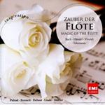 Magic of the Flute