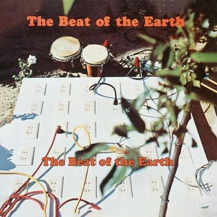 This Record Is An Artistic Statement - Vinile LP di Beat of the Earth