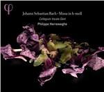 Messa in Si minore - CD Audio di Johann Sebastian Bach,Philippe Herreweghe,Collegium Vocale Gent