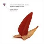 Mottetti BWV 225, 226, 227, 228, 229, 230 - Vinile LP di Johann Sebastian Bach
