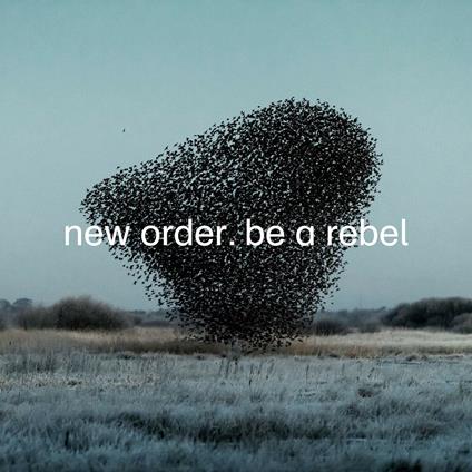Be a Rebel - Vinile LP di New Order