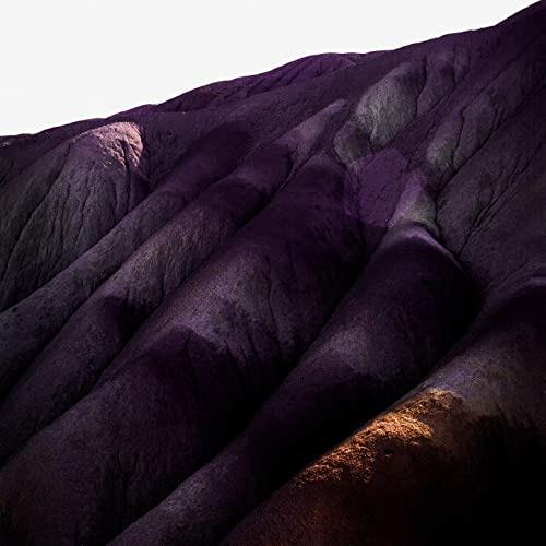 Several Others - Vinile LP di Whispering Sons