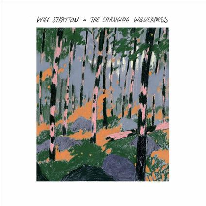 Changing Wilderness - CD Audio di Will Stratton