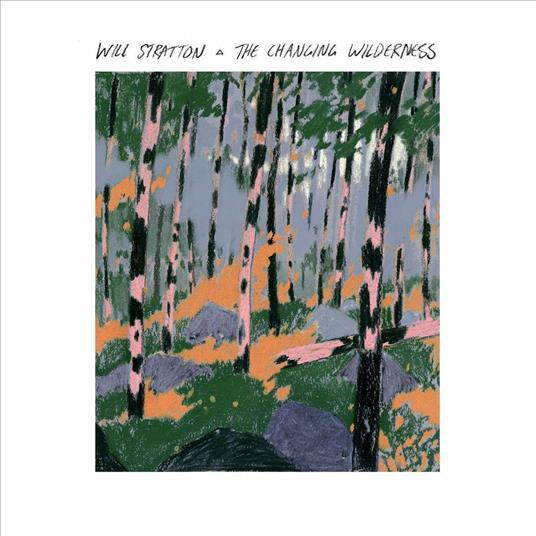 Changing Wilderness - CD Audio di Will Stratton
