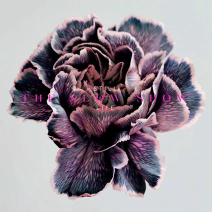 Still Life - CD Audio di Slow Show