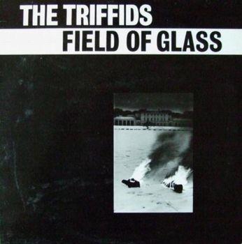 Field of Glass Ep - Vinile LP di Triffids