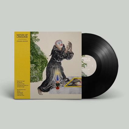 Strange Disciple - Vinile LP di Nation of Language