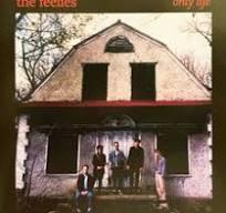Only Life (Coloured Vinyl) - Vinile LP di Feelies