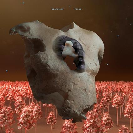 Torso - CD Audio di Soap&Skin