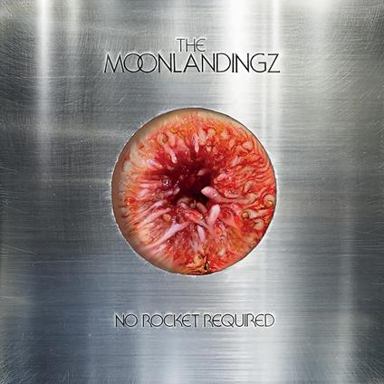 No Rocket Required - Vinile LP di Moonlandingz