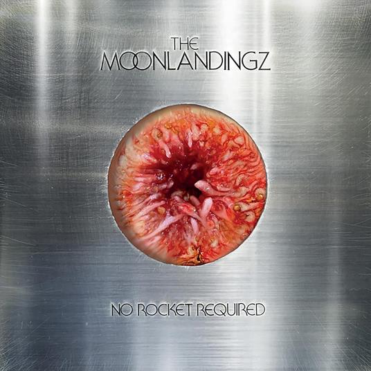 No Rocket Required - Vinile LP di Moonlandingz