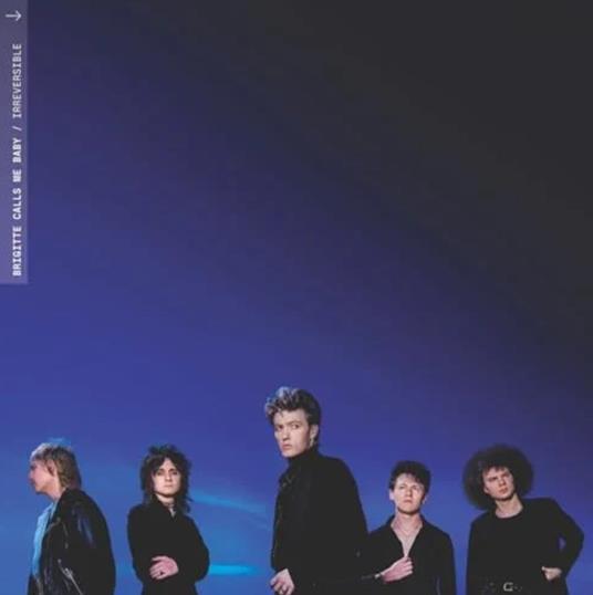 Irreversible - Vinile LP di Brigitte Calls Me Baby