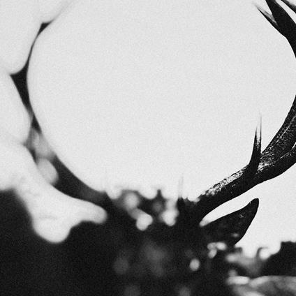 Ihsahn (Hard Book) - CD Audio di Ihsahn