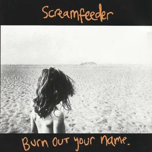 Burn Out Your Name - CD Audio di Screamfeeder