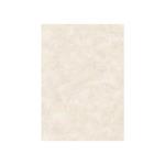 Carta pergamenata Decadry Linea Corporate grigio Conf. 100 fogli - T105002