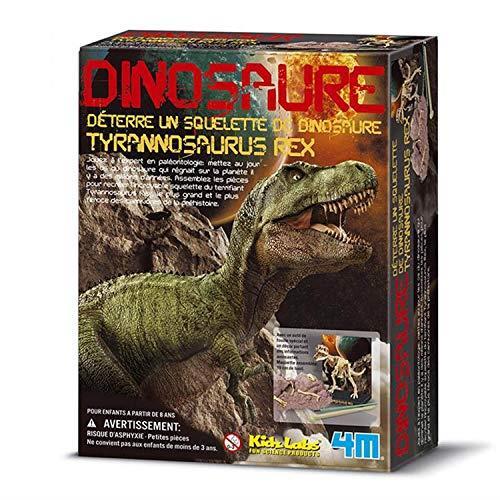 4M Kidzlabs: DETERRE-Ton-Dinosauro (Tyrannosaurus Rex) / Confezione F R A N C A I S, scheletro in un blocco di gesso, scatola 17 x 22 x 6 cm, 8 +