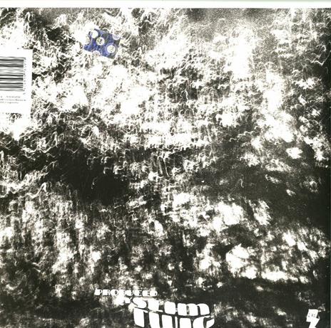 A Hound at the Hem - Vinile LP di Slim Twig - 2