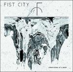Everything Is a Mess - Vinile LP di Fist City