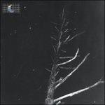 Colours of the Night - CD Audio di Peter Broderick