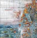 The Wilderness - Vinile LP di Explosions in the Sky