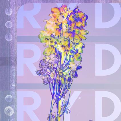 RYD - CD Audio di RYD