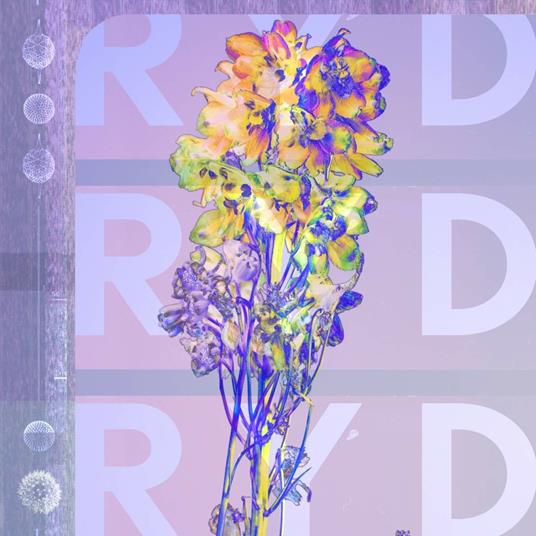 RYD - CD Audio di RYD