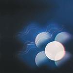 Thunder Follows the Light (Limited Edition)