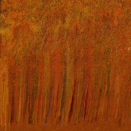 Towards The Center Of Time And Surrounded - Vinile LP di Peter Van Hoesen