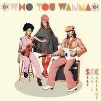 Be Who You Wanna Be - CD Audio di Stef Kamil Carlens