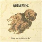 What Are We Locks to Do? - CD Audio di Wim Mertens