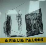Palcos Live