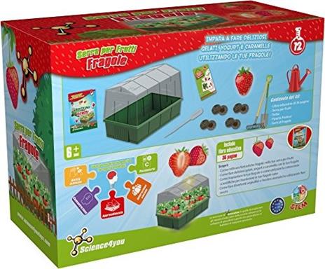 Mini Serra delle Fragole - 4