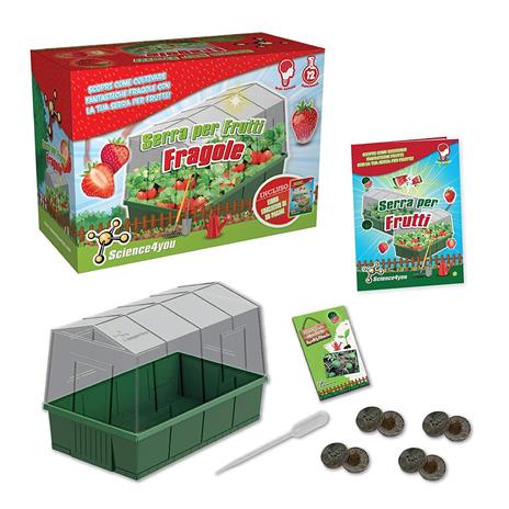 Mini Serra delle Fragole - 5