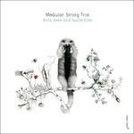Ants Bees and Butterflies - CD Audio di Modular String Trio