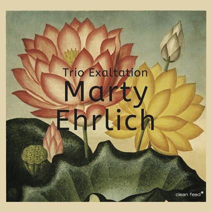 Trio Exaltation - CD Audio di Marty Ehrlich