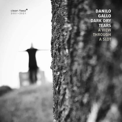 A View Through a Slot - CD Audio di Danilo Gallo