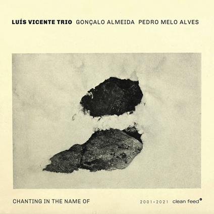 Chanting In The Name Of - CD Audio di Luis Vicente