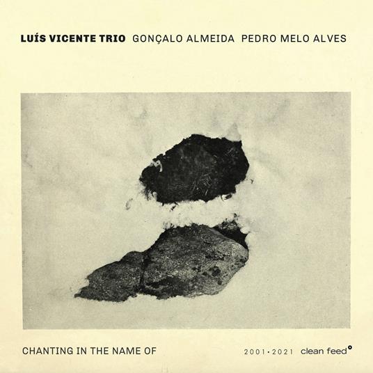 Chanting In The Name Of - CD Audio di Luis Vicente