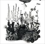 Pao - CD Audio di Pao